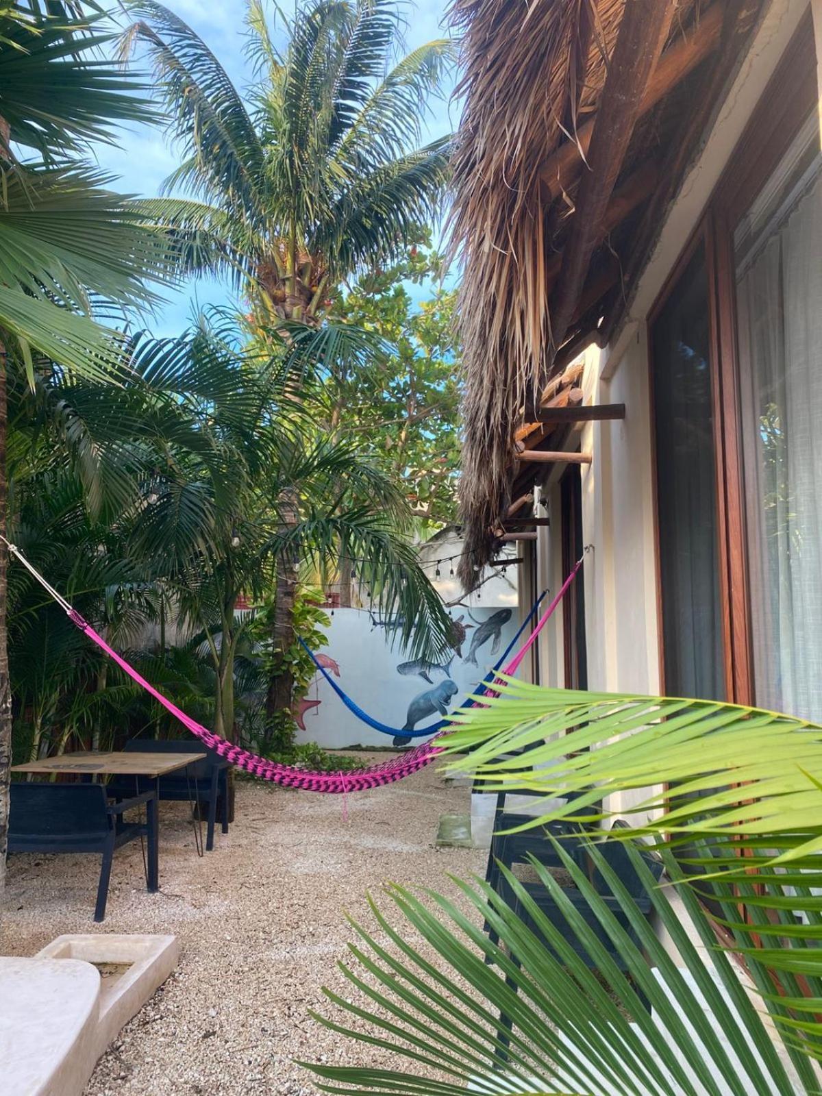 Hotel Pelecanus Suites Holbox المظهر الخارجي الصورة